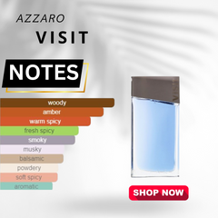 Azzaro Visit EDT 100ml